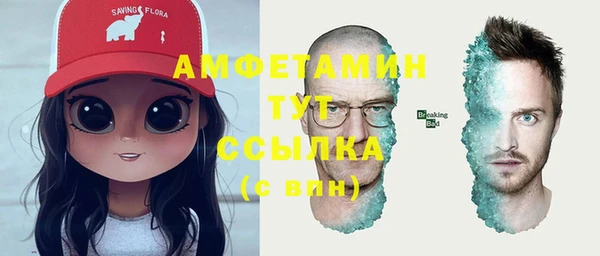 шишки Армянск