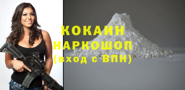 шишки Армянск