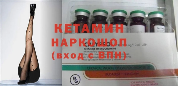 шишки Армянск