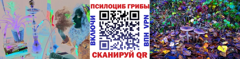 магазин продажи наркотиков  Холм  Галлюциногенные грибы мухоморы 